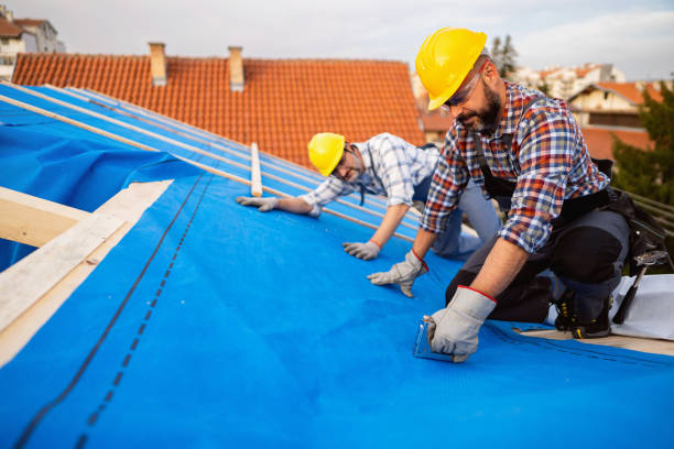 Best Roof Moss and Algae Removal  in Wilson, WY